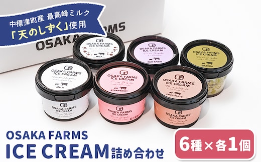 OSAKA FARMS ICE CREAM 詰め合わせ6個入りセット（ミルク・チョコ・イチゴ・抹茶・チョコチップ・ラムレーズン）各1個【51013】