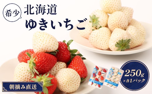 【12月以降、随時発送！】【北海道産】ゆきいちご（ゆきぼたん/すず）白×MIX 2Pセット 各250g×2 計500g 苺 白いちご 一季成りイチゴ 希少 ギフト お取り寄せ ふるさと納税 北海道 中標津町【5900201】