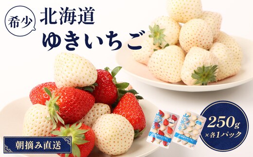【2027年１月以降発送！】【北海道産】ゆきいちご（ゆきぼたん/すず）白×MIX 2Pセット 各250g×2 計500g 苺 白いちご 一季成りイチゴ 希少 ギフト お取り寄せ ふるさと納税 北海道 中標津町【5900202】