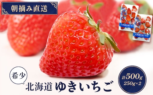 【受注後、随時発送！】【北海道産】ゆきいちご（すずor恋みのり） ２Pセット 各250g×２ 計500g | 苺 いちご 一季成りイチゴ 希少 ギフト お取り寄せ ふるさと納税 北海道 中標津【5900501】
