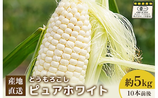 【2026年度発送分】上原農場直送 有機栽培とうもろこし (ピュアホワイト) 約5kg 約10本前後【66016】
