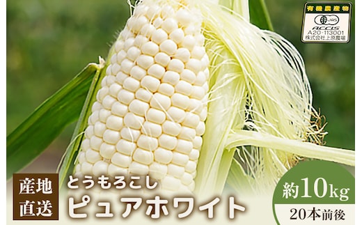 【2026年度発送分】上原農場直送 有機栽培とうもろこし (ピュアホワイト) 約10kg 約20本前後【66017】