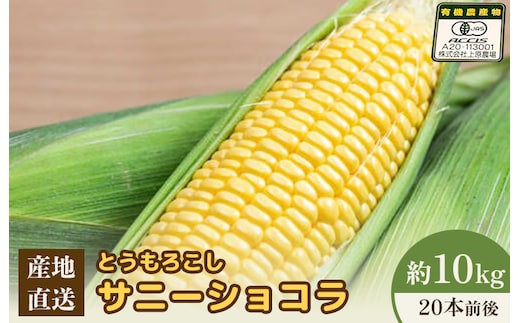 【2026年度発送分】上原農場直送 有機栽培とうもろこし (サニーショコラ) 約10kg 約20本前後【66020】