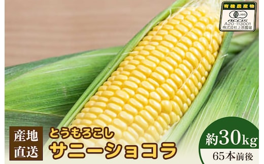 【2026年度発送分】上原農場直送 有機栽培とうもろこし (サニーショコラ) 約30kg 約65本前後【66021】