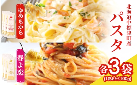 北海道中標津町産「春よ恋」パスタ・「ゆめちから」パスタ 各3袋（合計6袋）【82006】
