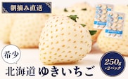 【12月以降、随時発送！】【北海道産】ゆきいちご（白いちご） 2Pセット 250g×2 計500g 苺 イチゴ 白いちご 一季成りイチゴ ゆきぼたん パールホワイト 希少 高級 ギフト お取り寄せ ふるさと納税 北海道 中標津【59001】