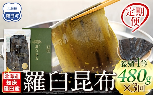 羅臼昆布 定期便(480g×3回) 年3回！海鮮工房厳選 北海道 知床 羅臼産 養殖1等 生産者 支援 応援