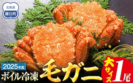 【先行予約/2026年4月発送開始】2026年産 ボイル冷凍毛ガニ 大１尾（600～650g）