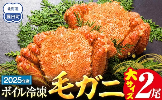 【先行予約/2026年4月発送開始】2026年産 ボイル冷凍毛ガニ 大２尾（600～650g）