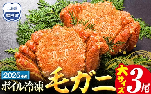 【先行予約/2026年4月発送開始】2026年産 ボイル冷凍毛ガニ 大３尾（600～650g）