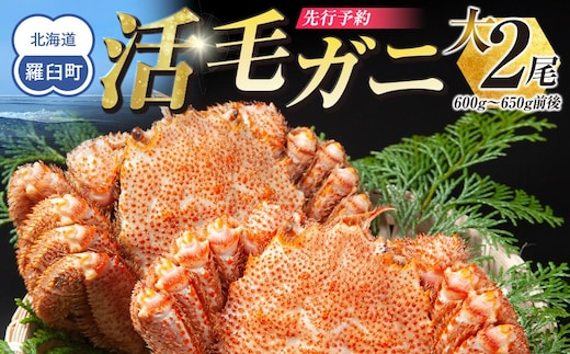 【先行予約/2026年4月発送開始】活毛ガニ 大２尾（600g～650g前後）