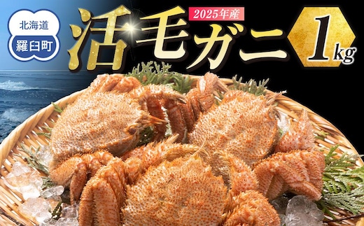 【先行予約/2026年4月発送開始】活毛ガニ １kg 300g～500g ２～３尾
