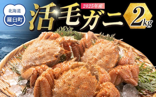 【先行予約/2026年4月発送開始】活毛ガニ ２kg 300g～500g ４～６尾