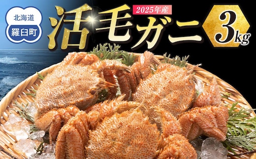 【先行予約/2026年4月発送開始】活毛ガニ ３kg 300g～500g ６～９尾