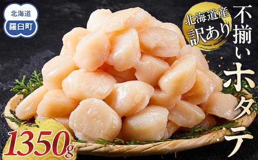 北海道産 訳あり 不揃いホタテ 1350g ほたて ホタテ 帆立 貝柱 貝 刺身 海鮮丼 米 羅臼町 北海道 海鮮 生産者 支援 BD005 小分け 訳あり パック ほたて 刺身 北海道産 帆立 貝柱 海鮮 海鮮丼 魚介 貝 人気 ランキング