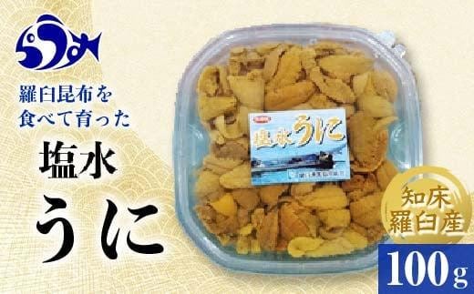 【先行予約/2026年1月より発送】天然 エゾバフンうに （中）塩水うに 100g （100g×1枚）ミョウバン不使用 北海道産 知床羅臼産