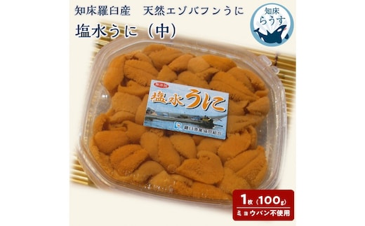＜先行受付＞＜27年1月～6月内発送＞天然 エゾバフンうに （中）塩水うに 100g （100g×1枚）ミョウバン不使用 北海道産 知床羅臼産