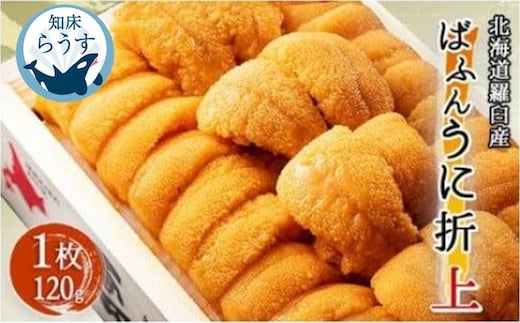 ＜先行受付＞＜27年1月～6月内発送＞エゾバフンウニ（上）折うに 120g×1枚