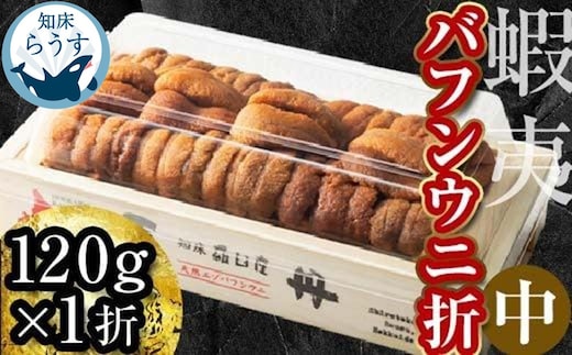 ＜先行受付＞＜27年1月～6月内発送＞エゾバフンウニ（中）折うに 120g×1枚