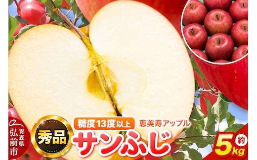 【26年12月発送】りんご サンふじ【秀品】約5kg 糖度13度以上 先行受付 青森県 弘前市 果物 フルーツ 林檎 リンゴ くだもの ギフト 贈り物 [先行予約 産地直送 アップル おいしい 果実 美味 甘い 赤色]
