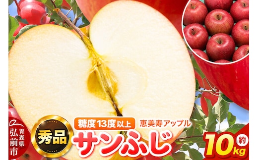 【26年12月発送】りんご サンふじ【秀品】約10kg 糖度13度以上 先行受付 青森県 弘前市 果物 フルーツ 林檎 リンゴ くだもの ギフト 贈り物 [先行予約 産地直送 アップル おいしい 果実 美味 甘い 赤色]