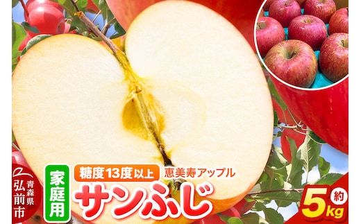【26年12月発送】りんご サンふじ【家庭用】約5kg 糖度13度以上 先行受付 青森県 弘前市 果物 フルーツ 林檎 リンゴ くだもの 不揃い 規格外 [先行予約 産地直送 アップル おいしい 果実 美味 甘い 赤色]