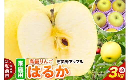 【26年12月発送】りんご【高級りんご・はるか】はるか【家庭用】約3kg 先行受付 青森県 弘前市 果物 フルーツ 林檎 リンゴ くだもの 不揃い 規格外 [先行予約 産地直送 アップル おいしい 果実 美味 甘い 黄色]