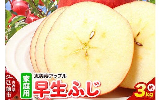 【26年10月発送】りんご【一足早くふじの味・早生ふじ】早生ふじ【家庭用】約3kg 先行受付 青森県 弘前市 果物 フルーツ 林檎 リンゴ くだもの 不揃い 規格外 [先行予約 産地直送 アップル おいしい 果実 美味 甘い 赤色]