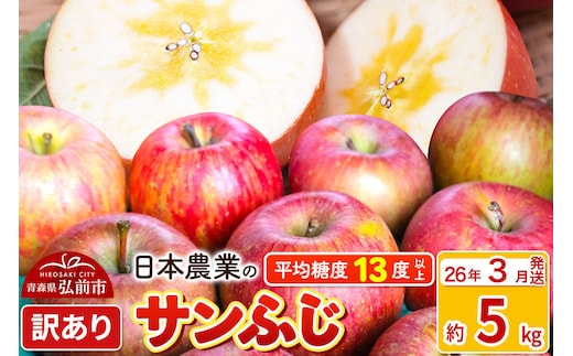 【寄附額見直しました】【26年3月発送】りんご 平均糖度13度以上！ サンふじ 約5kg 訳あり クール便 青森 果物 フルーツ 林檎 リンゴ くだもの 不揃い 規格外