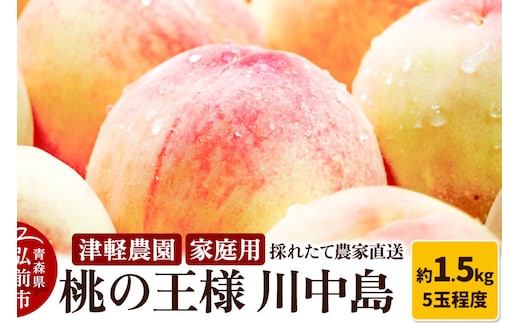 【26年8月発送】桃 約1.5kg(5玉程度) 青森【2026年産 桃の王様 川中島】もも 家庭用 果物 フルーツ くだもの 津軽農園 採れたて 農家直送 [おいしい ピーチ フルーツ もも 果実 果物 青森 津軽 桃 美味]