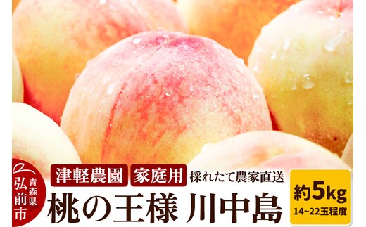 【26年8月発送】桃 約5kg(14～22玉程度) 青森【2026年産 桃の王様 川中島】もも 家庭用 果物 フルーツ くだもの 津軽農園 採れたて 農家直送 [おいしい ピーチ フルーツ もも 果実 果物 青森 津軽 桃 美味]