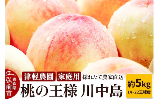 【26年8月発送】桃 約5kg(14～22玉程度) 青森【2026年産 桃の王様 川中島】もも 家庭用 果物 フルーツ くだもの 津軽農園 採れたて 農家直送 [おいしい ピーチ フルーツ もも 果実 果物 青森 津軽 桃 美味]