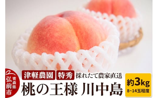 【26年8月発送】桃 約3kg(8～14玉程度) 青森【2026年産 桃の王様 川中島】もも 特秀 果物 フルーツ くだもの 津軽農園 採れたて 農家直送 [おいしい ピーチ フルーツ もも 果実 果物 青森 津軽 桃 美味]