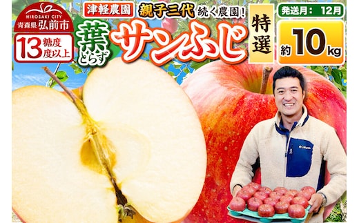 【26年12月発送】りんご 葉とらずサンふじ【特選】約10kg 26～40玉程度【糖度13度以上】津軽農園 先行受付 青森県 弘前市 果物 フルーツ 林檎 リンゴ くだもの ギフト 贈り物 [先行予約 産地直送 アップル おいしい 果実 美味 甘い 赤色]