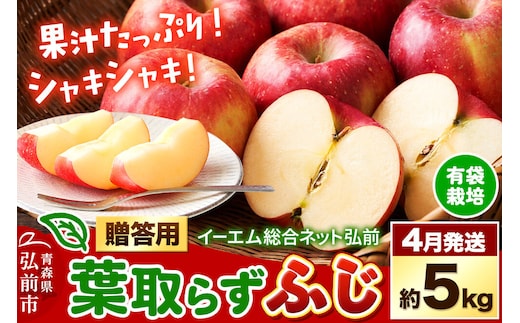 【27年4月クール便発送】りんご 葉取らず ふじ【贈答用】約5kg【有袋栽培・CA貯蔵】EMりんご 林檎 リンゴ 果物 くだもの フルーツ 先行受付 青森県 弘前市 贈り物 ギフト [先行予約 産地直送 アップル 青森県 弘前市]