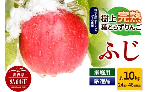 りんご ふじ 約10kg（24玉～48玉程度）樹上完熟葉とらず【家庭用】厳選品 青森県産 りんご