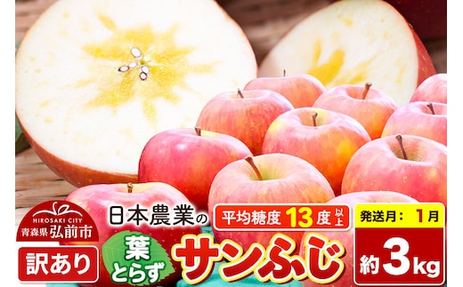 【27年1月発送】りんご 葉とらずサンふじ 【訳あり】 約3kg 平均糖度13度以上 青森県産 [りんご 林檎 アップル 産地直送 葉とらず サンふじ 訳あり 自宅用 家庭用 果物 フルーツ くだもの おいしい 美味 甘い 青森県 弘前市 日本農業]