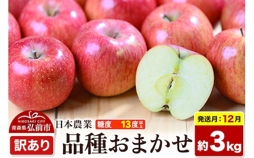 【26年12月発送】りんご 品種おまかせ【訳あり】約3kg 平均糖度13度以上 青森県 弘前市 果物 フルーツ 林檎 リンゴ くだもの 不揃い 規格外 [先行予約 家庭用 産地直送 アップル 青森県 弘前市]
