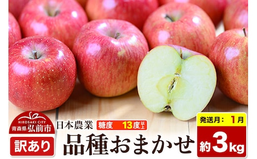 【27年1月発送】りんご 品種おまかせ【訳あり】約3kg 平均糖度13度以上 青森県 弘前市 果物 フルーツ 林檎 リンゴ くだもの 不揃い 規格外 [先行予約 家庭用 産地直送 アップル 青森県 弘前市]