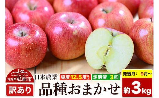 【26年9月～発送】《定期便3ヶ月》りんご 品種おまかせ【訳あり】約3kg 平均糖度12.5度以上【9～11月】3回分 青森 果物 フルーツ 林檎 リンゴ くだもの 不揃い 規格外 [家庭用 産地直送 アップル 青森県 弘前市]