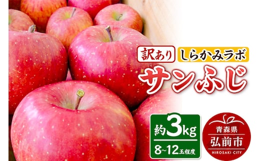 【26年12月中旬～発送】りんご サンふじ【訳あり】約3kg 先行受付 しらかみラボ 家庭用 青森県 弘前市 果物 フルーツ 林檎 リンゴ くだもの 不揃い 規格外 [先行予約 産地直送 アップル おいしい 果実 美味 甘い 赤色]