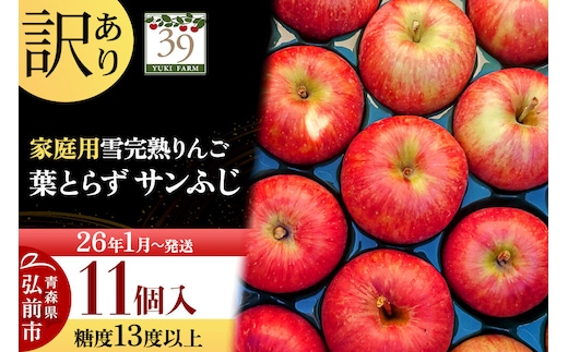【26年1月～発送】りんご 【 数量限定 】訳あり 雪完熟 家庭用 糖度13度以上 葉取らず サンふじ 11個入り