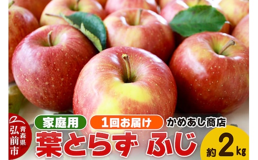 【25年12月～発送】りんご 葉とらず ふじ【家庭用】約2kg ゴールド農園
