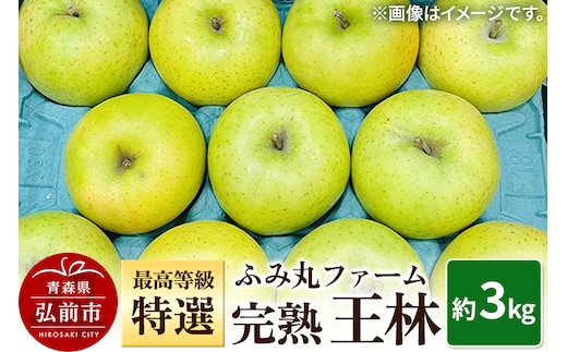 【25年12月発送】りんご ふみ丸ファーム 最高等級「特選」完熟 王林 約3kg 青森 弘前 林檎 リンゴ 黄色