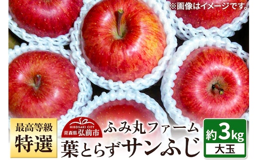 【25年12月発送】りんご 最高等級「特選」大玉 葉とらず サンふじ 約3kg 糖度14度以上 青森 弘前 林檎 リンゴ 赤色