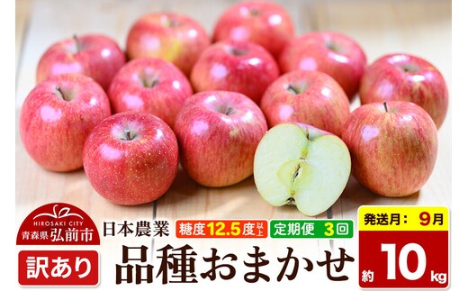 【26年9月～発送】《定期便3ヶ月》りんご 品種おまかせ【訳あり】約10kg 平均糖度12.5度以上【9～11月】3回分 青森 果物 フルーツ 林檎 リンゴ くだもの 不揃い 規格外 [家庭用 産地直送 アップル 青森県 弘前市]