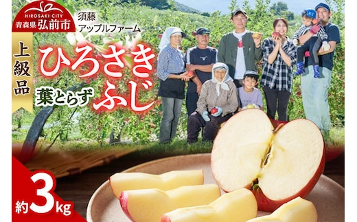 【26年10月発送】りんご ひろさきふじ 葉とらず【上級品】約3kg 贈答用 青森県 弘前市 果物 フルーツ 林檎 リンゴ くだもの ギフト 贈り物 [産地直送 アップル おいしい 果実 美味 甘い 赤色]