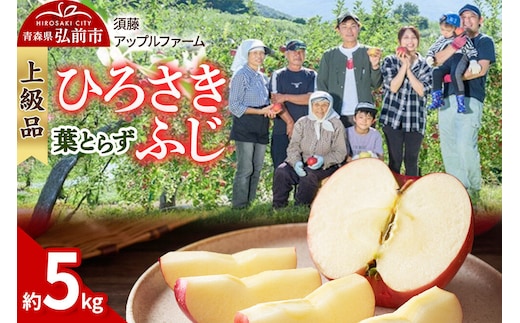 【26年10月発送】りんご ひろさきふじ 葉とらず【上級品】約5kg 贈答用 青森県 弘前市 果物 フルーツ 林檎 リンゴ くだもの ギフト 贈り物 [産地直送 アップル おいしい 果実 美味 甘い 赤色]