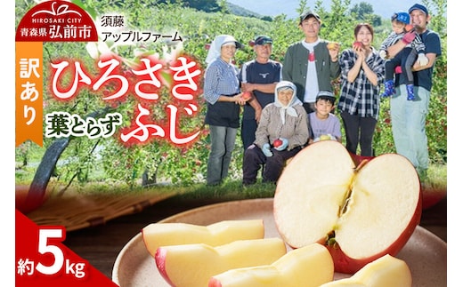 【26年10月発送】りんご ひろさきふじ 葉とらず【訳あり】約5kg 家庭用 青森県 弘前市 果物 フルーツ 林檎 リンゴ くだもの 不揃い 規格外 [産地直送 アップル おいしい 果実 美味 甘い 赤色]
