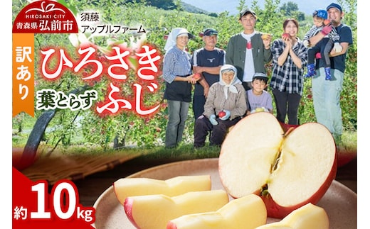 【26年10月発送】りんご ひろさきふじ 葉とらず【訳あり】約10kg 家庭用 青森県 弘前市 果物 フルーツ 林檎 リンゴ くだもの 不揃い 規格外 [産地直送 アップル おいしい 果実 美味 甘い 赤色]